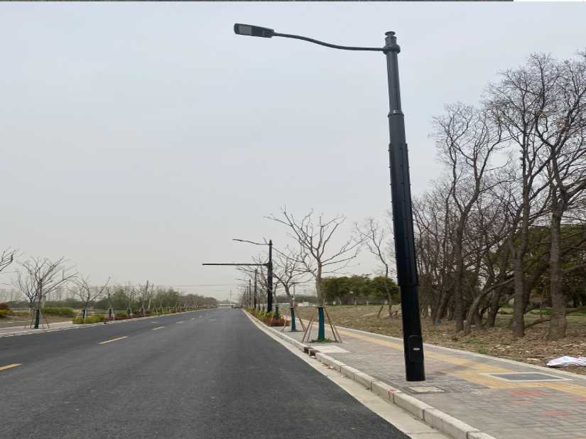 昭阳区上海综合杆 太阳能路灯工程
